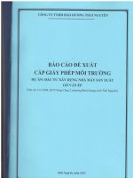 Báo cáo Đề xuất cấp giấy phép môi trường của dự Án Đầu tư xây dựng nhà máy sản xuất gỗ ván Ép