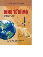 Kinh tế vĩ mô compressed