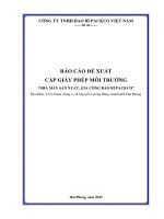 Báo cáo Đề xuất cấp giấy phép môi trường của nhà máy sản xuất, gia công bao bì packco của công ty tnhh bao bì packco việt nam