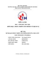 IUH - TIỂU LUẬN PHÁT TRIỂN SẢN PHẨM VÀ DỊCH VỤ - KẾ HOẠCH PHÁT TRIỂN SẢN PHẨM MỚI SỮA CHUA SẤY CHO TẬP ĐOÀN VINAMILK