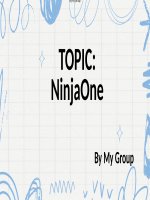 Hệ thống giám sát Njnjaone