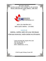 IUH - Quốc phòng an ninh - PHÒNG, CHỐNG MỘT SỐ LOẠI TỘI PHẠM XÂM HẠI DANH DỰ, NHÂN PHẨM NGƯỜI KHÁC