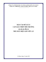 Báo cáo Đề xuất cấp giấy phép môi trường của dự Án nhà máy Điện gió viên an do công ty tnhh mtv năng lượng viên an cà mau