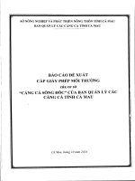 Báo cáo Đề xuất cấp giấy phép môi trường của cảng cá sông Đốc do ban quản lý các cảng cá tỉnh cà mau
