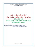 Báo cáo Đề xuất cấp giấy phép môi trường của nhà máy chế biến thủy sản tôm miền nam do công ty cổ phần tôm miền nam