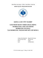 Giải pháp hoàn thiện hoạt Động marketing cho sản phẩm mobifone invoice tại mobifone thành phố hồ chí minh 1