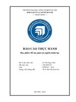 Báo cáo thực hành học phần Đồ Án quản trị nguồn nhân lực tại công ty tnhh tư vấn Đầu tư xây dựng aic