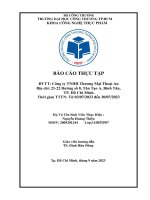 Báo cáo thực tập Đvtt công ty tnhh thương mại thoại an