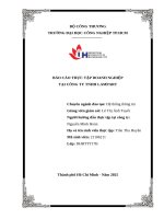 IUH - BÁO CÁO THỰC TẬP DOANH NGHIỆP TẠI CÔNG TY TNHH LAMPART