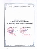 Báo cáo Đề xuất cấp phép môi trường dự Án Đầu tư xây dựng nhà máy Điện sinh khối yên bái 1