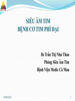 Siêu Âm tim bệnh cơ tim phì Đại
