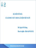09 ts bs  nguyễn viết hoàng