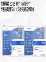 NGHIỆP VỤ HẢI QUAN TẠI VIỆT NAM TIẾNG TRUNG 越南報關事項說明