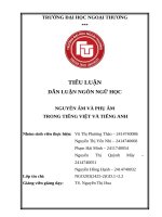 Tiểu luận dẫn luận ngôn ngữ học nguyên Âm và phụ Âm trong tiếng việt và tiếng anh