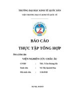 Báo cáo thực tập tổng hợp Đơn vị thực tập viện nghiên cứu châu Âu