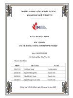 IUH - BÀI TẬP LỚN CÁC HỆ THỐNG THÔNG MINH DOANH NGHIỆP - Ứng dụng công cụ Power BI trong xây dựng hệ thống báo cáo doanh nghiệp