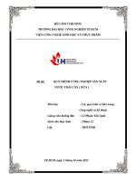 IUH - Tiểu luận Các quá trình cơ bản trong Công nghệ và Kỹ thuật - QUÁ TRÌNH CÔNG NGHIỆP SẢN XUẤT NƯỚC TRÁI CÂY ( DỨA )