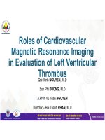 Roles of cardiovascular magnetic resonance imaging in evaluation of left ventricular thrombus