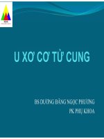U xơ cơ tử cung