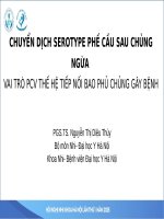 Bvnhn  phế cầuị