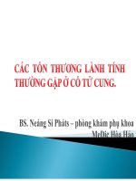 Các tổn thương lành tính thường gặp Ở cổ tử cung
