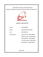 Organizational leadership - the Uber' case