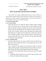 Mẫu mục tiêu dài hạn bảo vệ quyền lợi người lao động