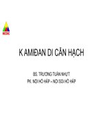 K amidan di căn hạch