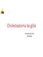 Cholesteatoma tai giữa