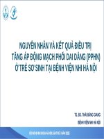 04  báo cáo pphn update update