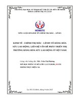Kinh tế   chính trị mác   lênin về hàng hóa sức lao Động  liên hệ vấn Đề phát triển thị trường hàng hóa sức lao Động Ở việt nam