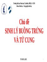 Sinh lý buồng trứng và tử cung - Sinh lý hệ sinh sản nữ giới