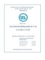 Tiểu luận so sánh mô hình kinh tế y tế của Đức và mỹ