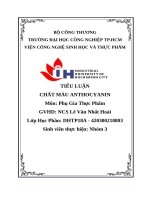 Tiểu luận chất màu anthocyanin môn phụ gia thực phẩm