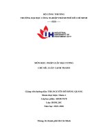 IUH - Tiểu luận PHÁP LUẬT ĐẠI CƯƠNG - LUẬT CẠNH TRANH