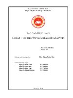Báo cáo thực hành lab 6 2 + 13 1 practical malware analysis