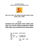 Đề tài nghiên cứu chế biến thức uống sữa gạo lứt huyết rồng probiotic bằng nấm men saccharomyces boulardii