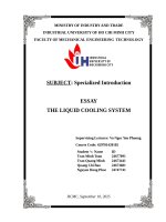 IUH - ESSAY Specialized Introduction - THE LIQUID COOLING SYSTEM