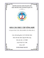 Báo cáo thực tập tổng hợp cơ quan thực tập viện nghiên cứu Đông bắc Á