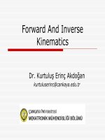 Forward and Inverse Kinematics