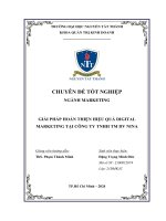 Giải pháp hoàn thiện hiệu quả digital marketing tại công ty tnhh tm dv nina