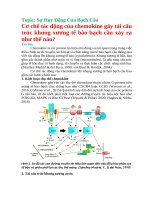 Cơ chế tác động của chemokine gây tái cấu trúc khung xương tế bào bạch cầu xảy ra như thế nào?