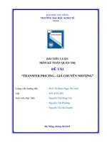 Transfer pricing   giá chuyển nhượng