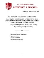 Xây dựng chiến lược marketing mix (4p) cho một thương hiệu sản phẩm mới trong ngành hàng tiêu dùng