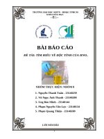 Báo cáo Đề tài tìm hiểu về Độc tính của hno3