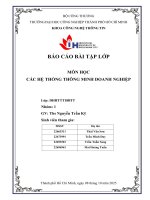 IUH - Báo cáo Các hệ thống thông minh Doanh nghiệp - Ứng dụng các phần mềm vào xử lý dữ liệu lớn