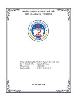 Đề tài chính sách tiền tệ phi truyền thống kinh nghiệm quốc tế và thực trạng tại việt nam