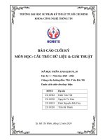 Báo cáo cuối kỳ môn học cấu trúc dữ liệu & giải thuật