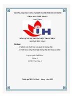 IUH - Tiểu luận quản trị thương hiệu 2 - Nghiên cứu chiến lược quản trị thương hiệu & Thành lập thương hiệu thời trang cá nhân