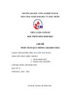 Tiểu luận cuối kỳ học phần hóa sinh học chủ Đề phân tích quá trình caramen hóa